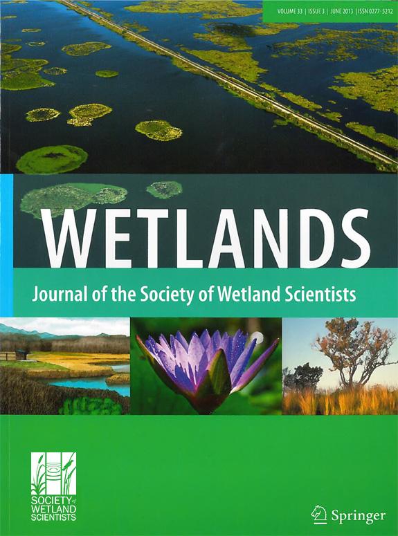 wetland
