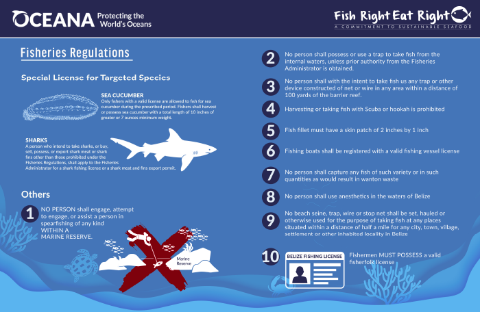 Market-based Incentives for Responsible Fishing- Infographic