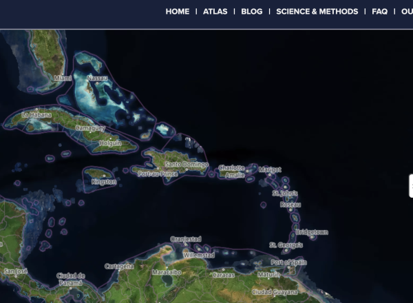 Coral Reef Restoration