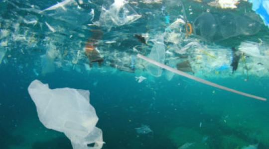 Plastic Waste Free Islands